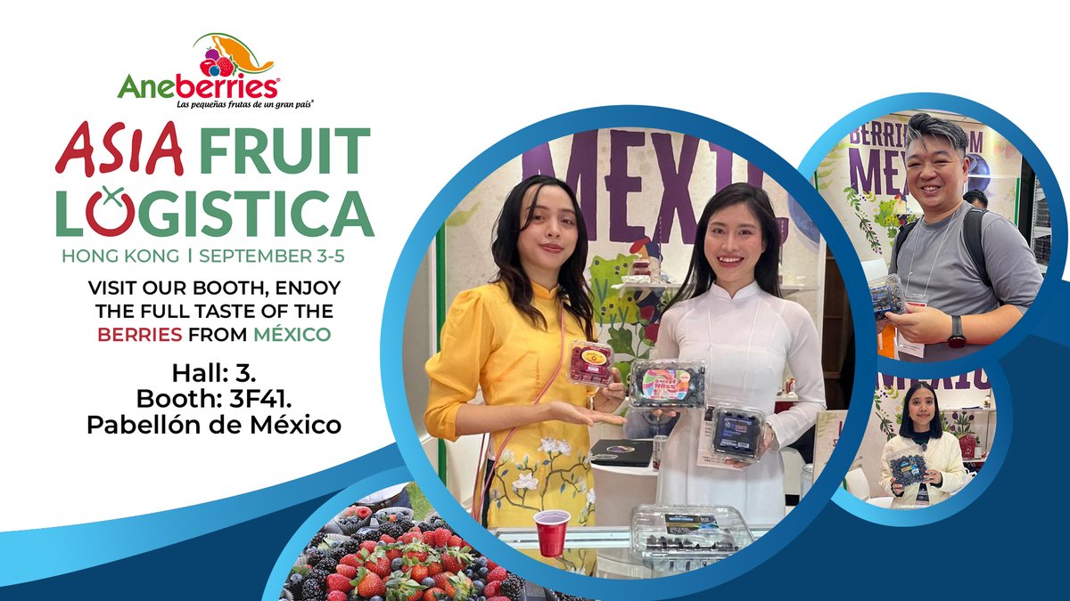 Aneberries (@aneberriesmx) on Twitter photo 