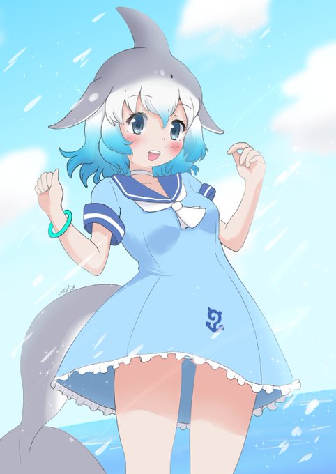ドルカッ!🐬 