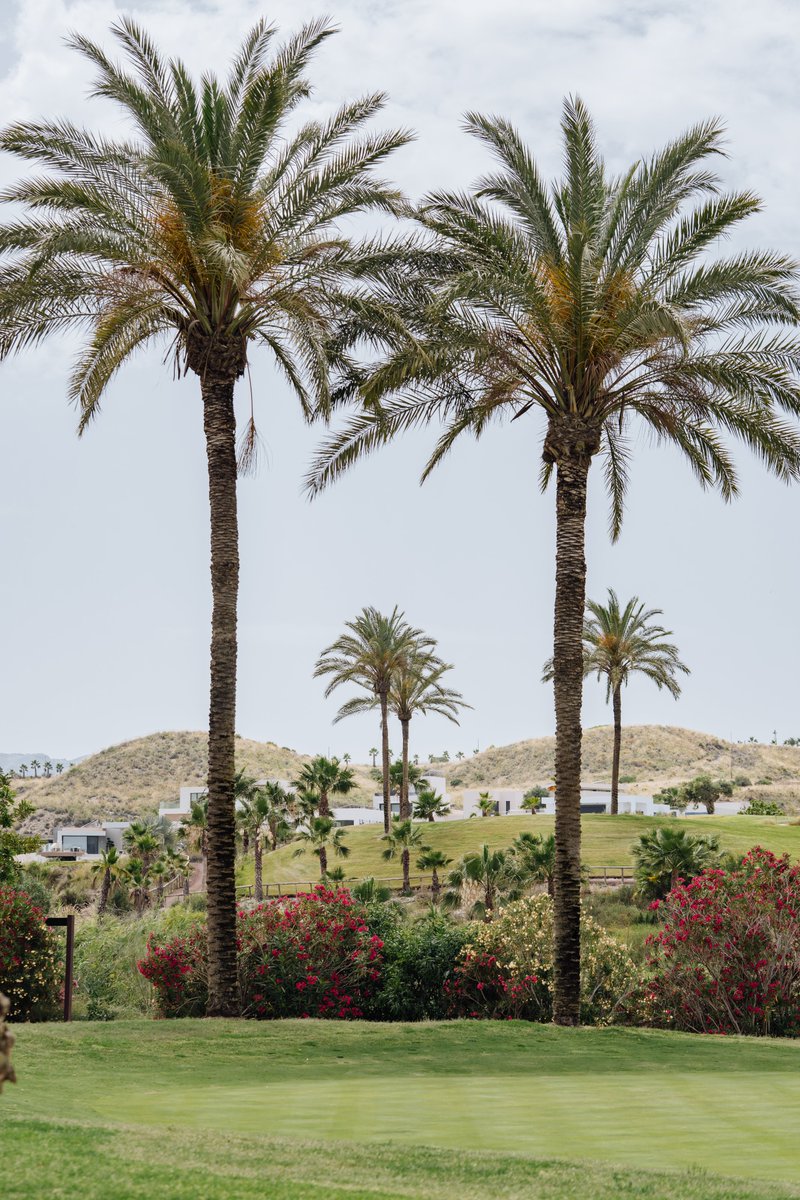Arrancamos la segunda ronda de nuestro Valle del Este Pro Am Andalucía Experience 2025 con un día espectacular 📷
¡Buena suerte a todos los equipos!