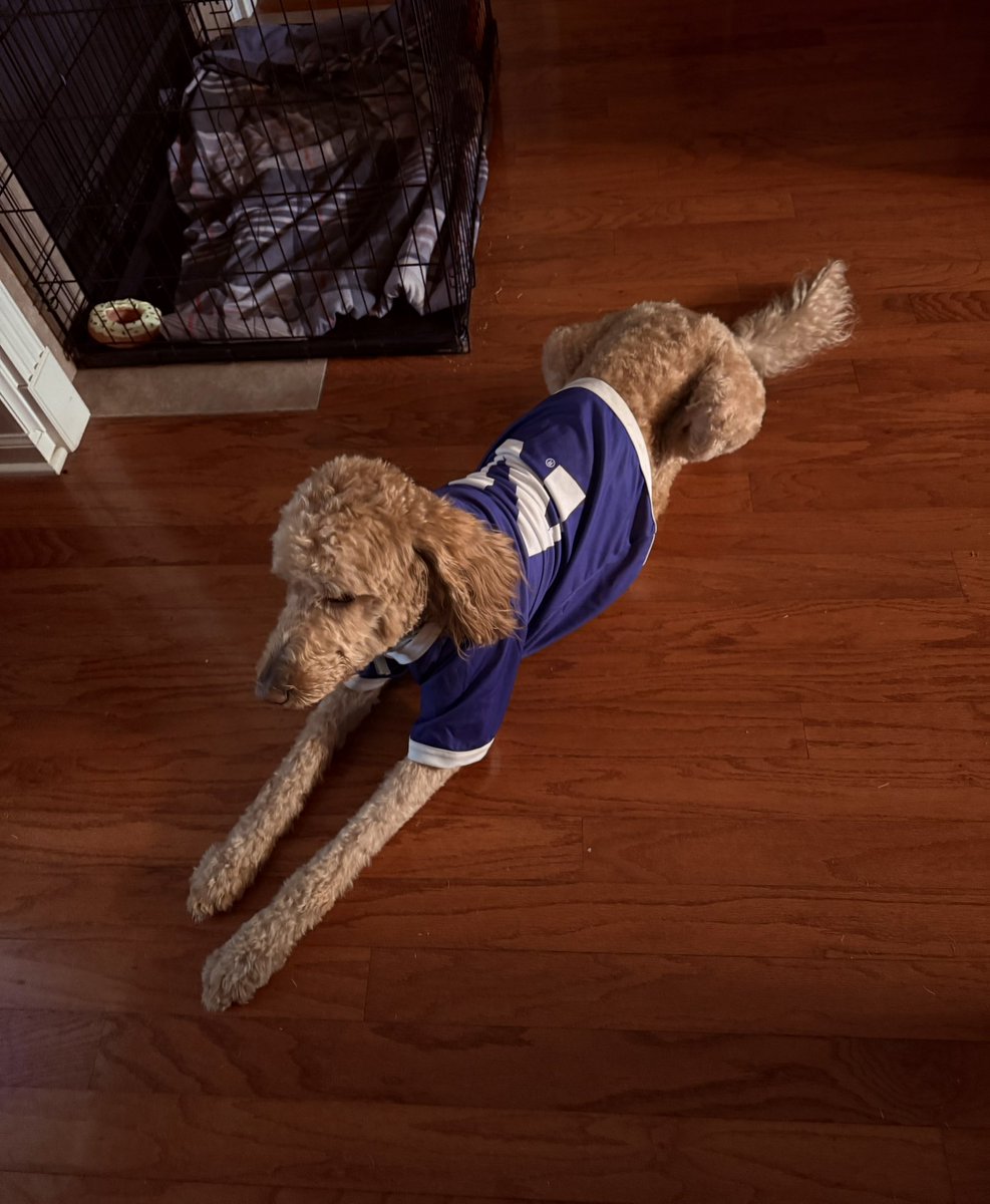Pamala Himon (@pamalahimon) on Twitter photo Happy Friday and Traveling Grace for Wildcat Nation! Team Himon can’t wait to see our boy! NOLA BOUND! Bear had to represent on yesterday! <a href="/JosephHimon/">Joseph R. Himon II</a> 💜🏈✈️🚗🙏🏾🤍 #GOCATS #B1GCATS Happy Friday and Traveling Grace for Wildcat Nation! Team Himon can’t wait to see our boy! NOLA BOUND! Bear had to represent on yesterday! <a href="/JosephHimon/">Joseph R. Himon II</a> 💜🏈✈️🚗🙏🏾🤍 #GOCATS #B1GCATS