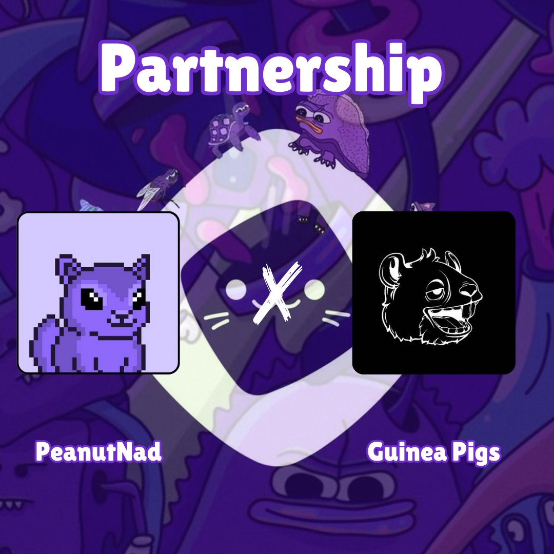 New Partnership🤝
PeanutNad x <a href="/GuineaPigsFun/">Guinea Pigs</a>  

To celebrate this special collab, we’re giving away:

🎟5 GTD WLs for <a href="/Peanut_Nad_/">PeanutNad | Free Mint</a> 
🎟5 GTD WLs for <a href="/GuineaPigsFun/">Guinea Pigs</a> 

How to join:   
✅Like &amp; RT  
✅Follow <a href="/Peanut_Nad_/">PeanutNad | Free Mint</a>  &amp; <a href="/GuineaPigsFun/">Guinea Pigs</a> 
✅Join Discord: discord.gg/NnDd2DBgCp