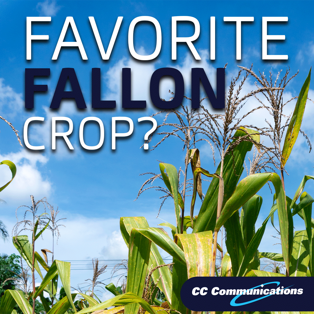 CCComm_Nevada's tweet image. 🌾🚜 We’re gearing up for the #LaborDayParade! This year’s theme is all about #YouthInAg, and we couldn’t be more excited to celebrate the future of farming in our community. 🌟

What’s your favorite Fallon crop? 🥬🥕🌻 Comment below—we’d love to hear it!