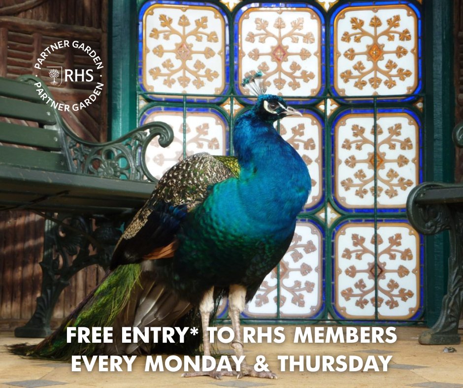 Did you know that if you're a member of the Royal Horticultural Society, you can get free* entry to our Swiss Garden?

As an official RHS partner garden, we're delighted to offer free entry to members every Monday and Thursday. T's &amp; C's apply, please see website

📸Mach 3 Studio