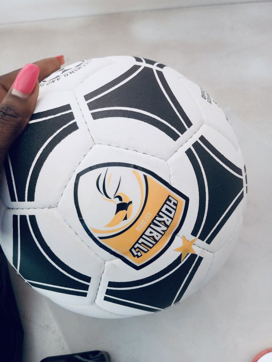 Horn_Bills⭐️ tweet media