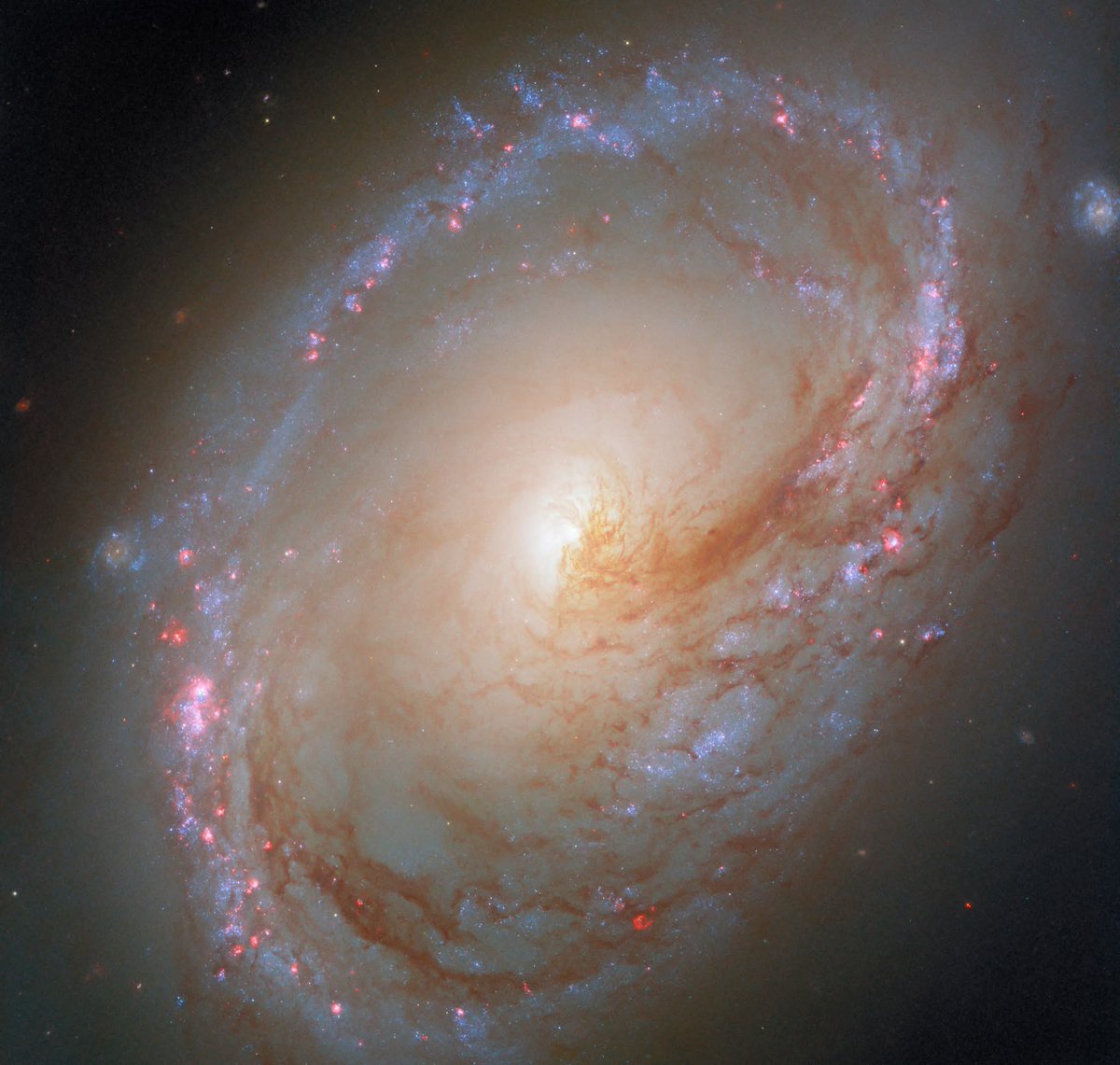 drhafezster's tweet image. This #HubbleFriday image shows the spiral galaxy M96. Its asymmetrical appearance might be due to the gravitational pull of nearby galaxies, causing its uneven distribution of gas and dust, along with its slightly skewed spiral arms.⬇️