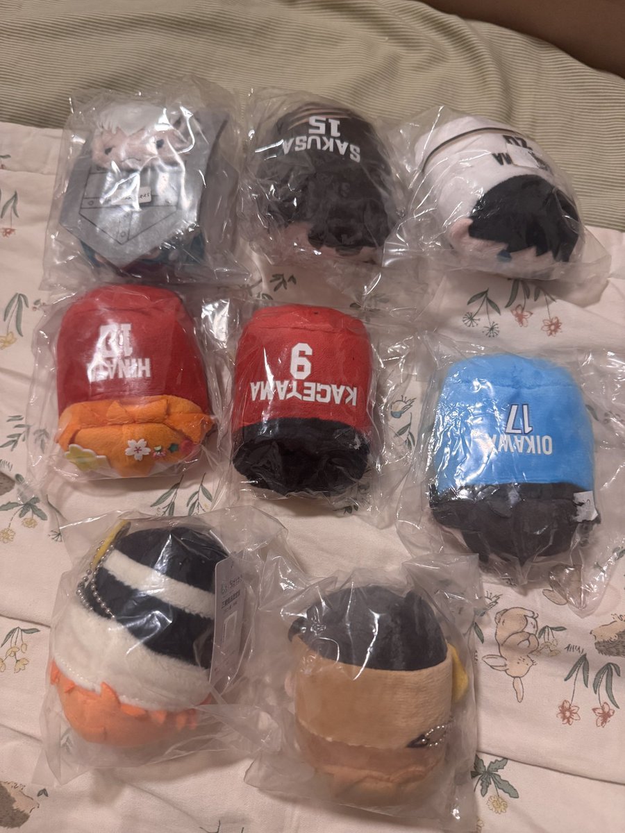 akaasheesh's tweet photo. #aniwts wts/want to sell
haikyuu mochimochi &amp; noru
⭐️hinata &amp; kageyama timeskip jersey red 150k/each
⭐️oikawa jersey argentina 160k
⭐️aone wall noru 190k
⭐️sakusa msby noru 150k
⭐️kageyama schweiden 150k
⭐️atsumu &amp; hinata mochimochi 100k/each https://t.co/ejsN6jLQUF
