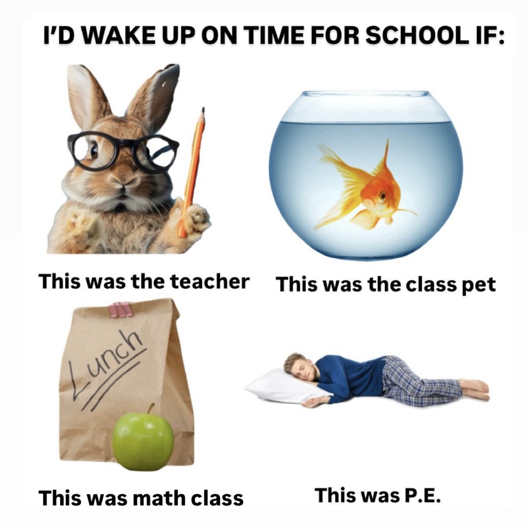 Instagram tweet media