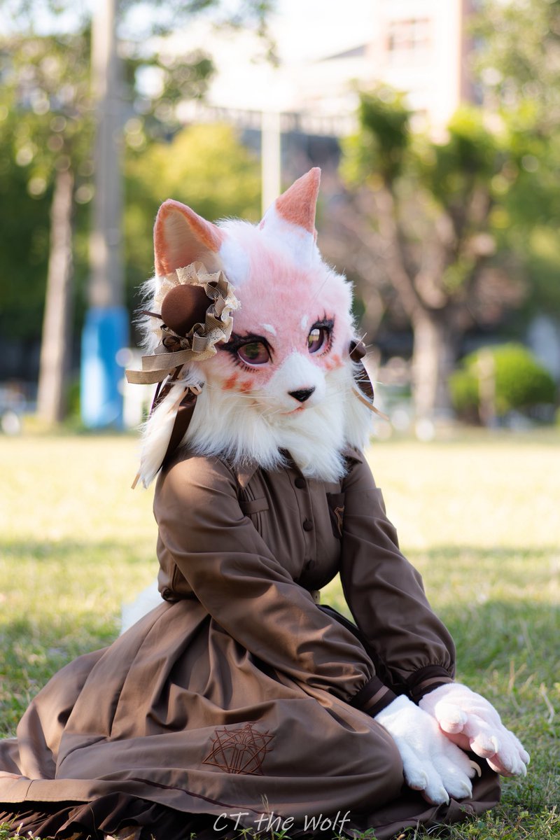 🤎

📷<a href="/CTtheWolf/">CT the Wolf➡️Eurofurence</a>