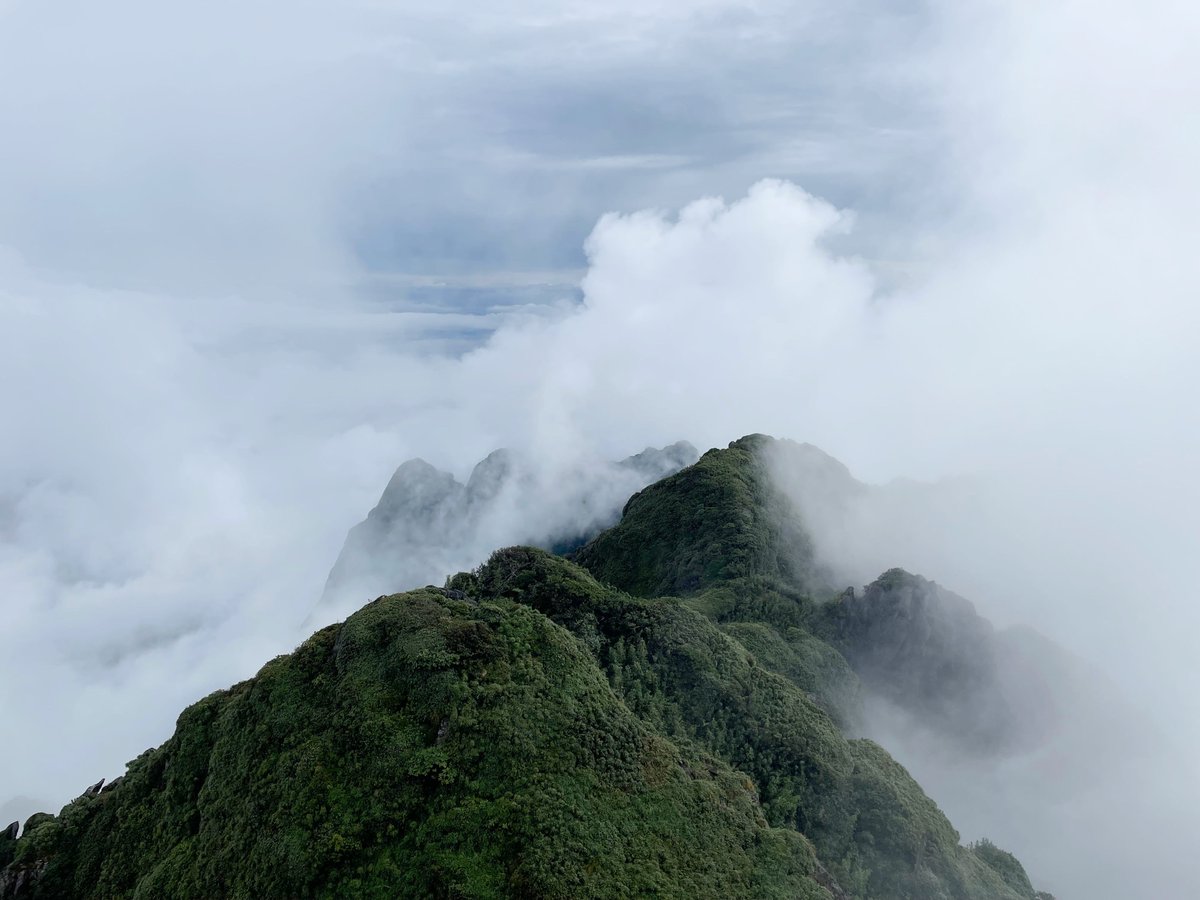 BreakfastwSteph's tweet image. Have you ever had the feeling that, despite your hard work, you aren’t getting the results you want? In all these instances, that voice struggles to find space or resonance. How do you fix it?

breakfastwithstephen.substack.com/p/the-right-di…