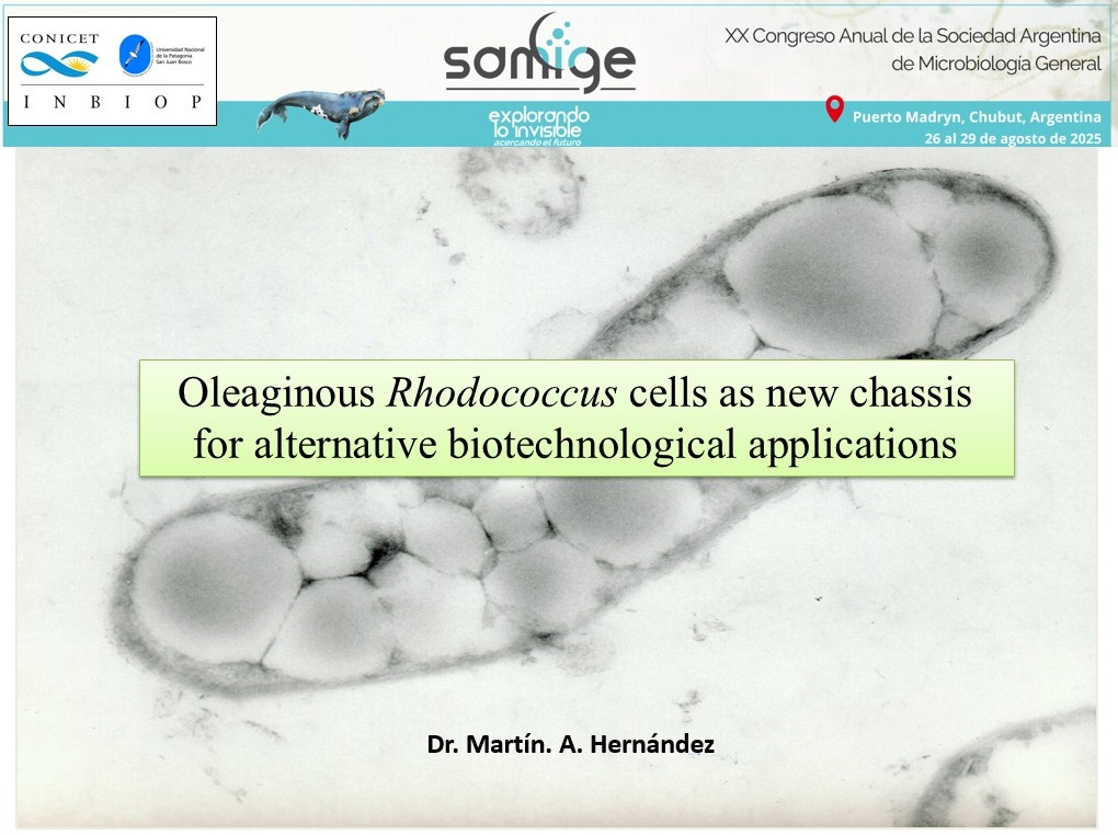 El Dr. Hernandez del INBIOP fue orador en el simposio de microbiologia molecular y fisiología llevado a cabo en el XX Congreso de microbiologia general (SAMIGE). Expuso la charla "Oleaginous Rhodococcus cells as new chassis for alternative biotechnological applications"