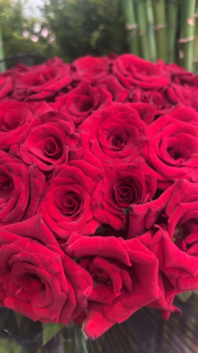 يَسكن الروح .
.مَن كان لنا عند الشَدائد . اكثَر قُرباً .. وأحنّ يداً🤍