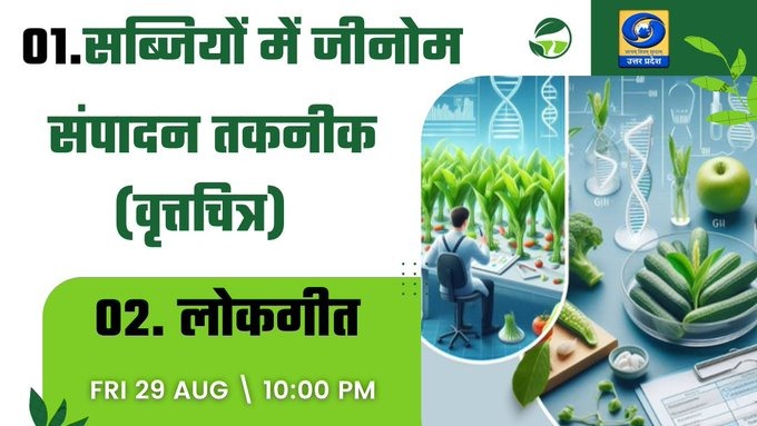 DDUttarPradesh's tweet image. अभी देखिए 

कार्यक्रम "यूपी के शहरों से" डीडी यूपी पर

विषय- सब्जियों में जीनोम संपादन तकनीक (वृत्तचित्र), लोकगीत
👇👇👇
▶️ youtube.com/live/UsBZoU0_v…

#GenomeEditing #VegetableFarming #CRISPR #AgriInnovation #ModernAgriculture #Biotechnology #VegetableResearch #SustainableFarming