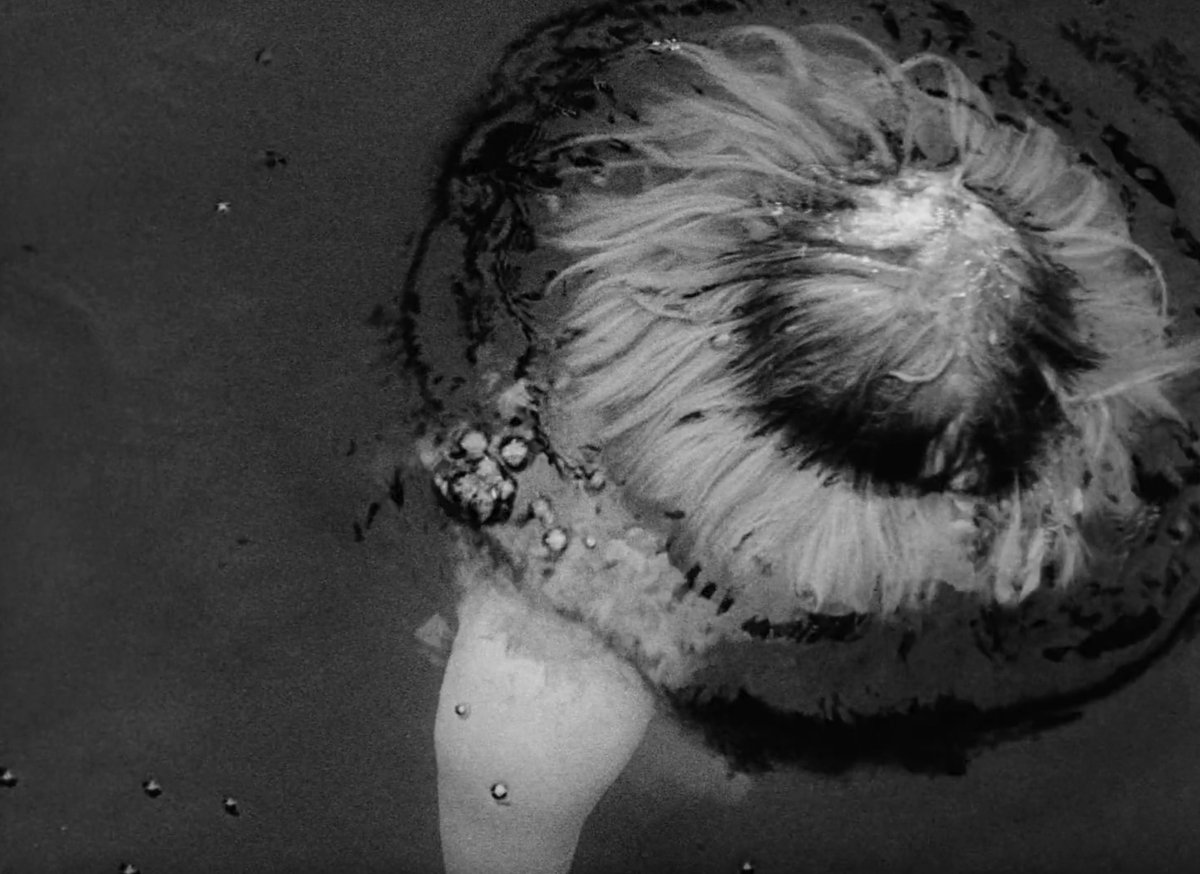 HauntedMovies's tweet image. Hour of the Wolf (1968) dir. Ingmar Bergman