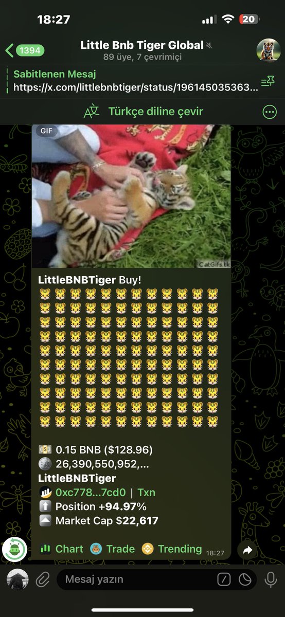 LittleBNBTiger's tweet photo. @kintekunta12 @AgencyLaser @BnbTigerInu yo join us - LittleBnbTiger https://t.co/fwtoCmz5hO

 0xa9063e76d64784f3b2262f02e31e2f03421979cd https://t.co/xLvXZZPgMj