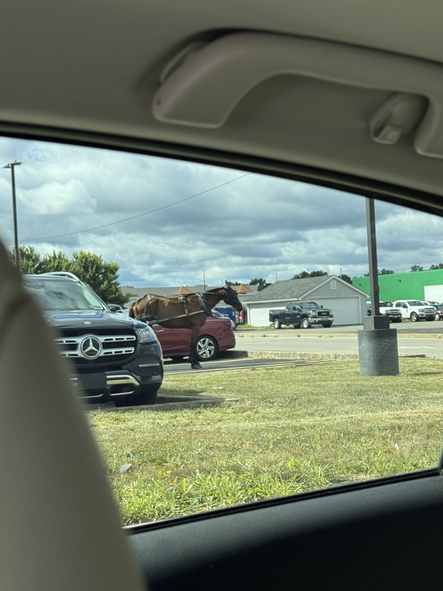 bro took the last parking spot 🥀