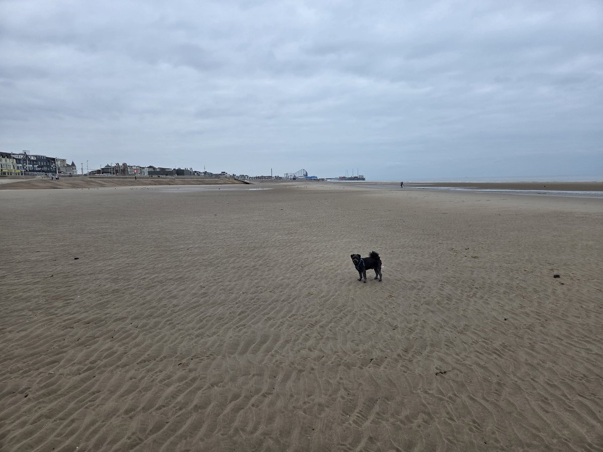 It's great to be able to work remotely and spend valuable time with family, a small matter of a football match tomorrow before heading home 🧡🍊 #UTMP