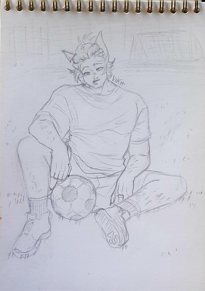 SphynxTyanUA's tweet photo. ⚽️

#VikitOC #CODYoc https://t.co/2oiO965irW