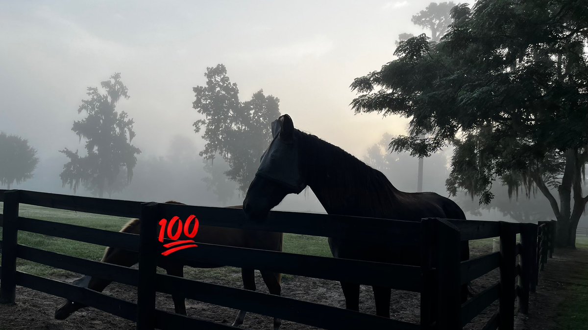 EntreHipicosBet's tweet photo. #EHBets
SARATOGA 08/29
1. 2🎯 (6-5)
2. 2-5-4
3. 2-5🔒
4. 4-3-8
5. 12-11-10
6. 9-10-4
7. 1A-4-9
8. 1A-7-2
9. 5-3🔒
10. 7-9-6
11. 5-7
12. 10-2-1
Saludos y suerte https://t.co/KFBgFN8uol