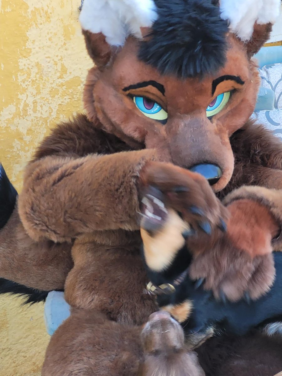 Happy #fursuitfriday !