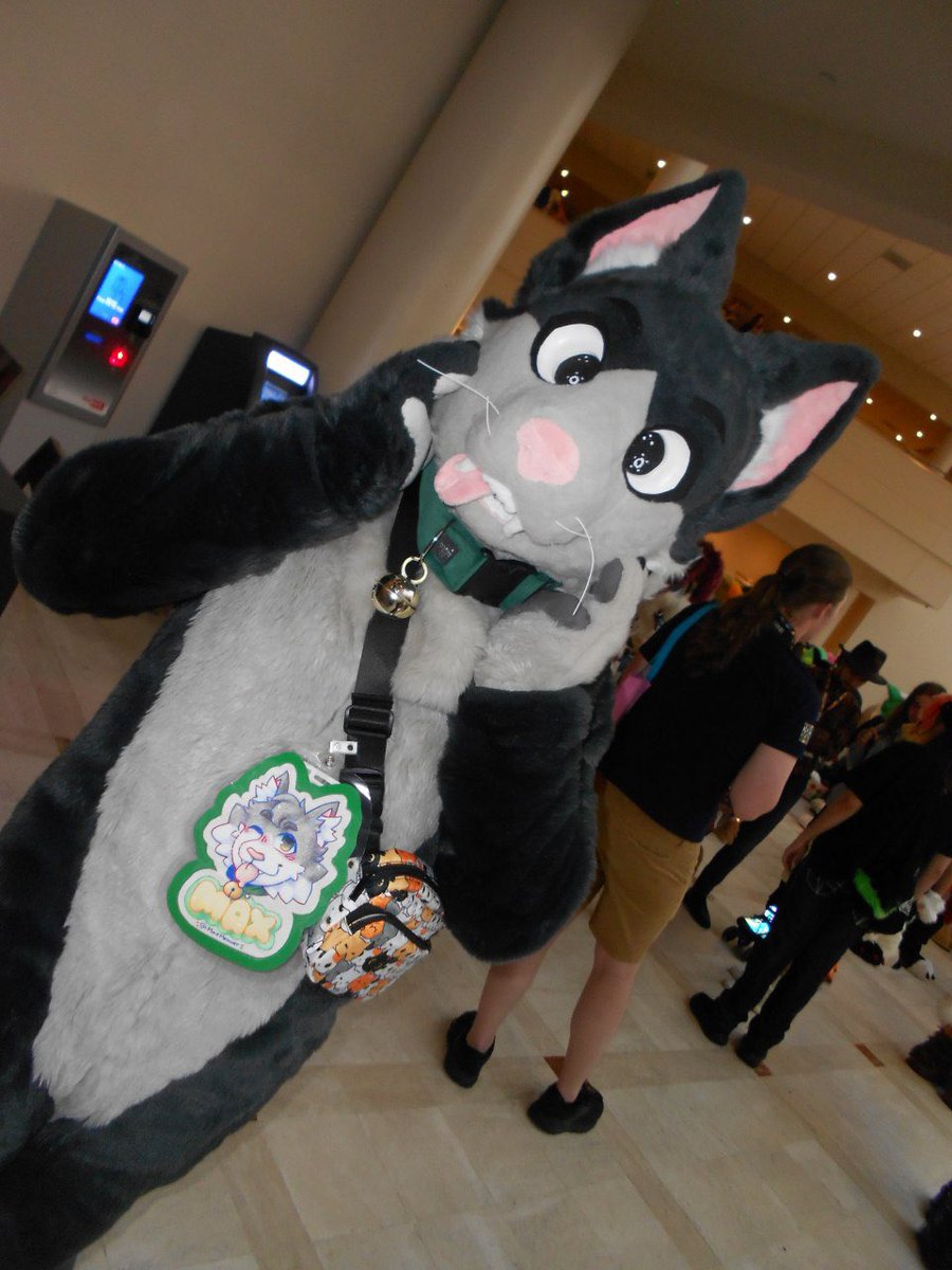 Made it to #MEGAPLEX2025 I can be friendly feline so if you see me come say hi!