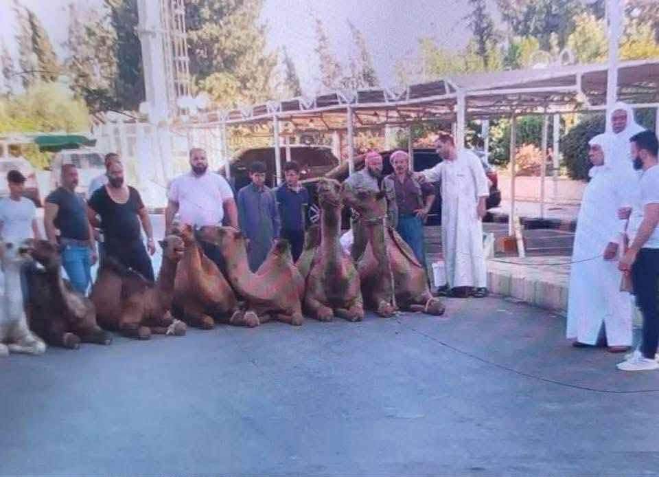 الحماصنه ماذبحو حتى صوص (للصهر)

الحمويه : 7 جمال بساحة العاصي #صلوا_على_الحبيب_محمد