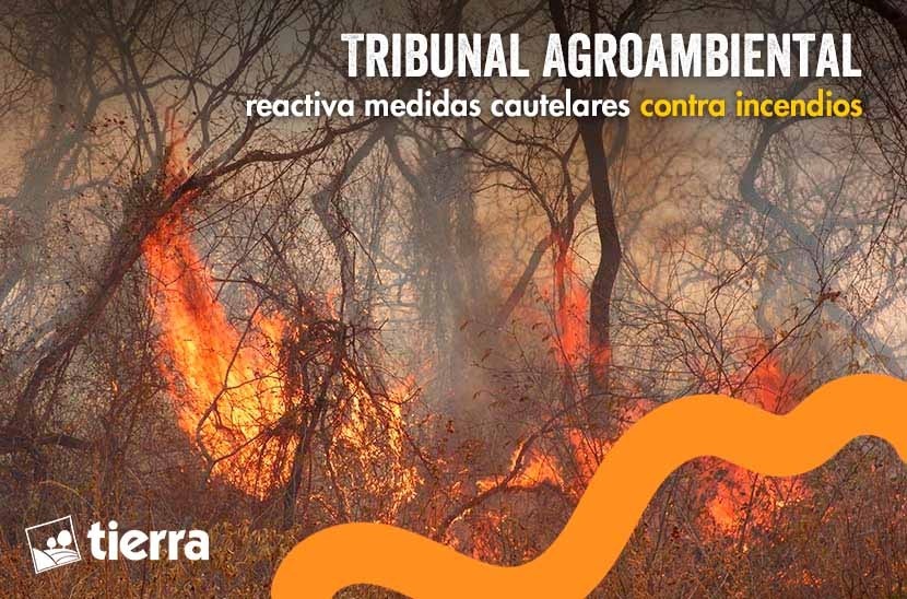 TRIBUNAL AGROAMBIENTAL REACTIVA MEDIDAS CAUTELARES CONTRA INCENDIOS
Se dispuso cuarto intermedio en la audiencia sobre medidas cautelares contra incendios forestales para resolver incidentes, pero se dispuso que las medidas comiencen de oficio.
Nota ⬇
ftierra.org/index.php/tema…
