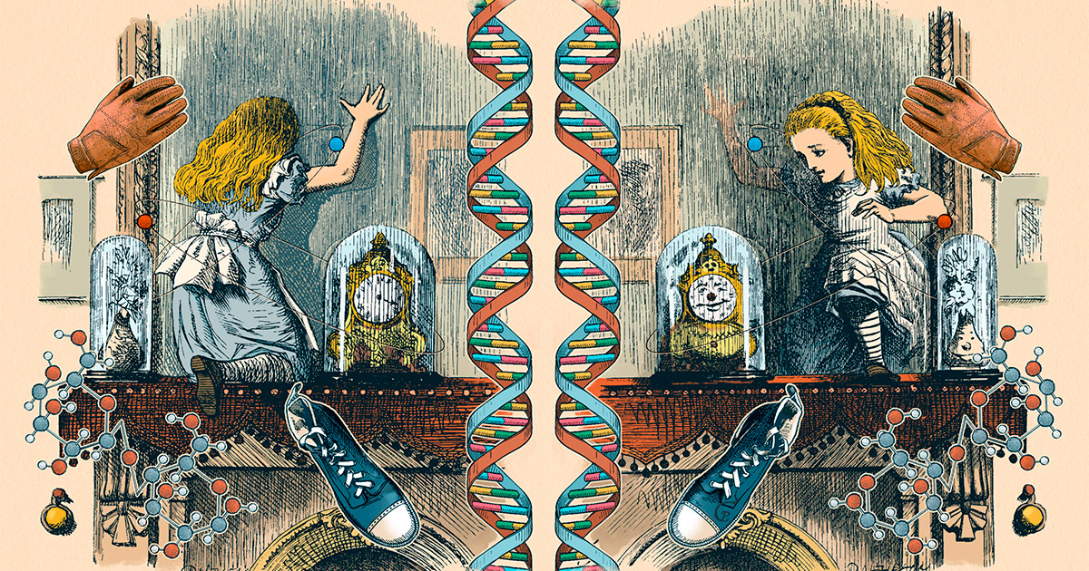 QuantaMagazine's tweet image. From living matter to molecules to elementary particles, the world is made of “chiral” objects that differ from their reflected forms. quantamagazine.org/how-the-univer…