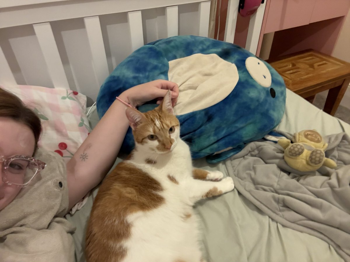 let’s lounge fattly with mama