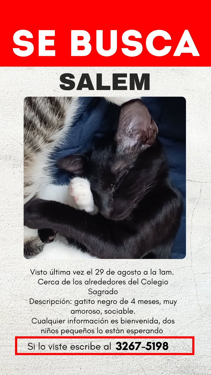 DiazChanga's tweet photo. ¡Ayúdenos a encontrar a mi gatin! https://t.co/YnzNWCWeCM