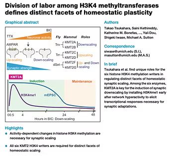 Iwase Laboratory tweet media