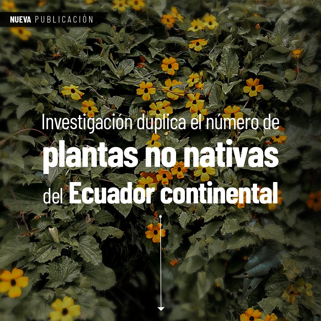 INABIO.EC tweet media