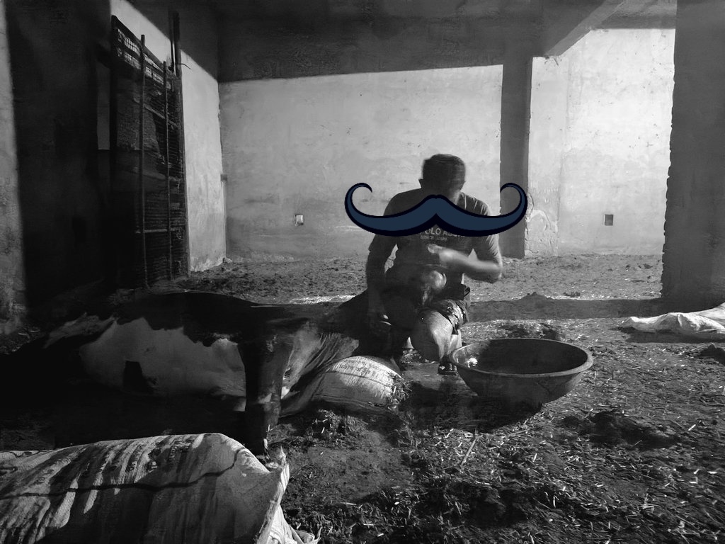 mona (@baisa215) on Twitter photo Thoda kam yaha bhi karna chahiye 
आज गौ माता का स्वास्थ्य थोड़ा अच्छा लग रहा है 🙂
तीन चार दिन मे बिलकुल सही हो जायगी 🙂🙂
#गोवंश Thoda kam yaha bhi karna chahiye 
आज गौ माता का स्वास्थ्य थोड़ा अच्छा लग रहा है 🙂
तीन चार दिन मे बिलकुल सही हो जायगी 🙂🙂
#गोवंश