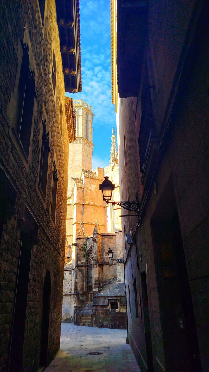#BarcelonaMagica 🏙️ Las calles del Gòtic, historia y misterio en cada esquina
_
#fotografiaurbana #fantasiaurbana #fantasialiteraria #bcn #barcelona #vampiros #vampirosenbarcelona #novelagotica #escritor #escribir #novela #leer #instabook #bookstagramespaña #barrigotic