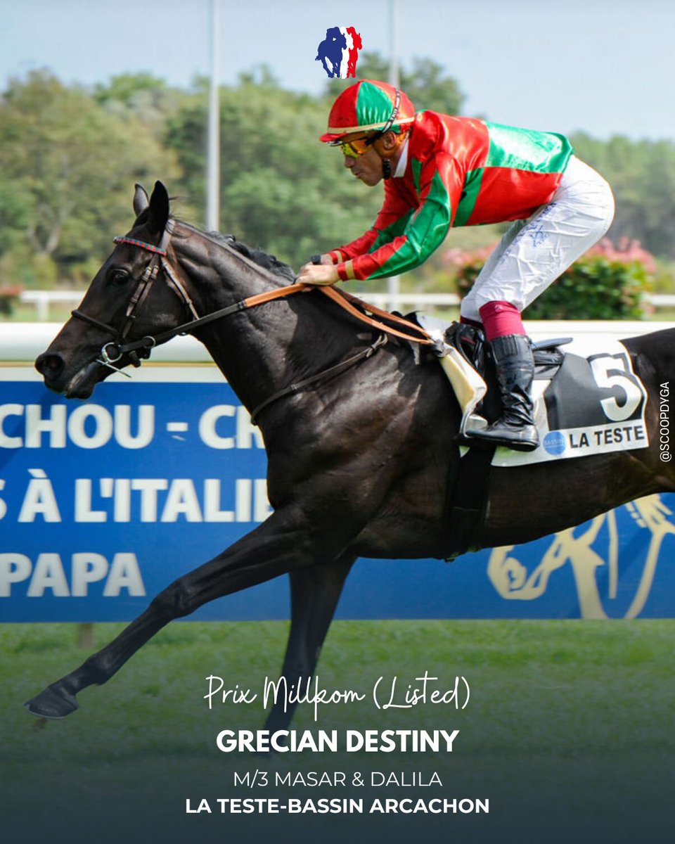 ⭕ #LaTeste – Prix Millkom (L)
Petit par la taille mais grand par le cœur, Grecian Destiny (Masar) décroche sa première Listed avec aisance sous la selle de J.-B. Eyquem pour J.-C. Rouget. Il devance Alem (Golden Horde) et Kaadi (Soldier’s Call).
👉 jourdegalop.com