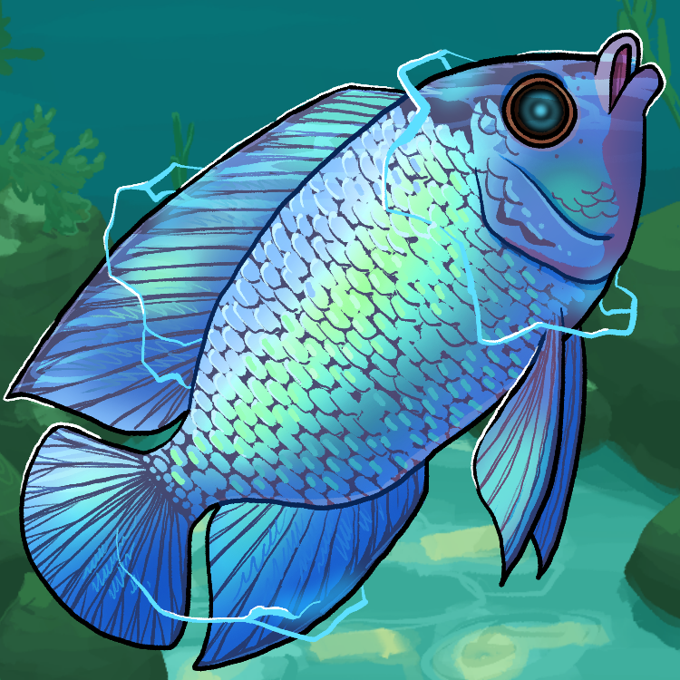 FlamiingPickle's tweet photo. Fish 19-22: Electric Blue Acara, Mexican Golden Trout, Rainbow Trout, Discus #fishfearme #illustration https://t.co/c7GUqcqIJY