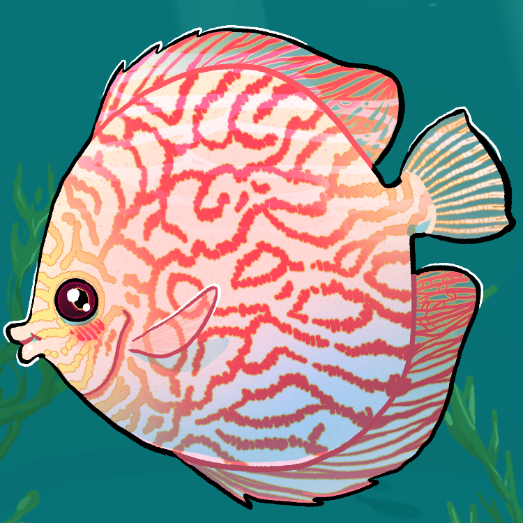 FlamiingPickle's tweet photo. Fish 19-22: Electric Blue Acara, Mexican Golden Trout, Rainbow Trout, Discus #fishfearme #illustration https://t.co/c7GUqcqIJY