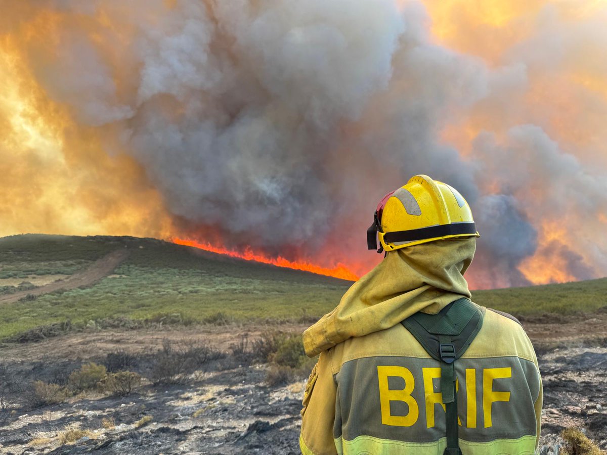 CASTILLA Y LEÓN.
🔥INFORME DE INCENDIOS FORESTALES
#IIFF #IncendiosForestalesEspaña 
08/08/2025 A 29/08/2025
- El informe que NO quisimos hacer 😔

Por orden cronológico os hacemos un listado pormenorizado.

DÍA 8  AGOSTO
Se declaran 4 incendios forestales en menos de 4 horas.