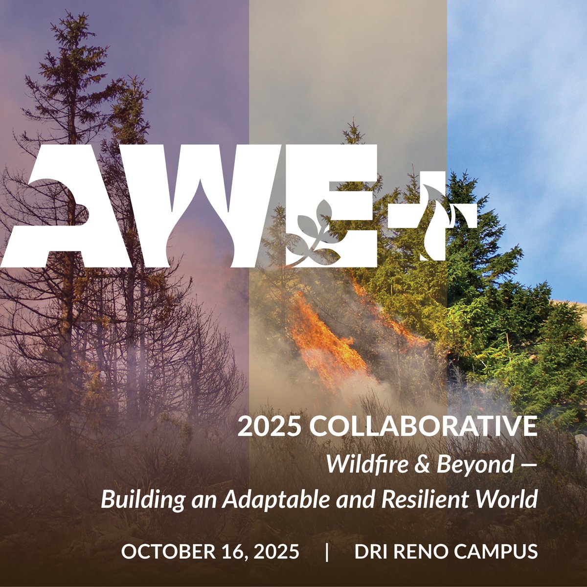 Join us Oct 16 at DRI's Reno Campus for AWE+2025 Collaborative: Exploring wildfire’s cascading impacts—heatwaves, flooding, droughts—and driving urgent, cross-sector action for resilience.
Register now: dri.edu/awe

#AWE2025 #WildfireResilience #ScienceThatMattersNow