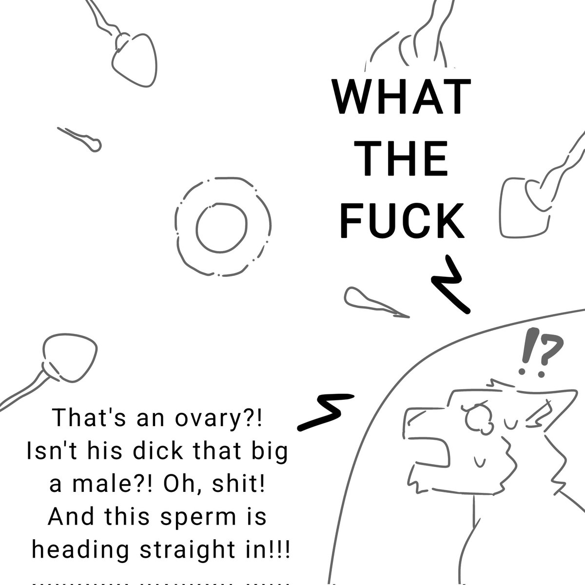 I have an idea about 2 male macro and 1 male micro