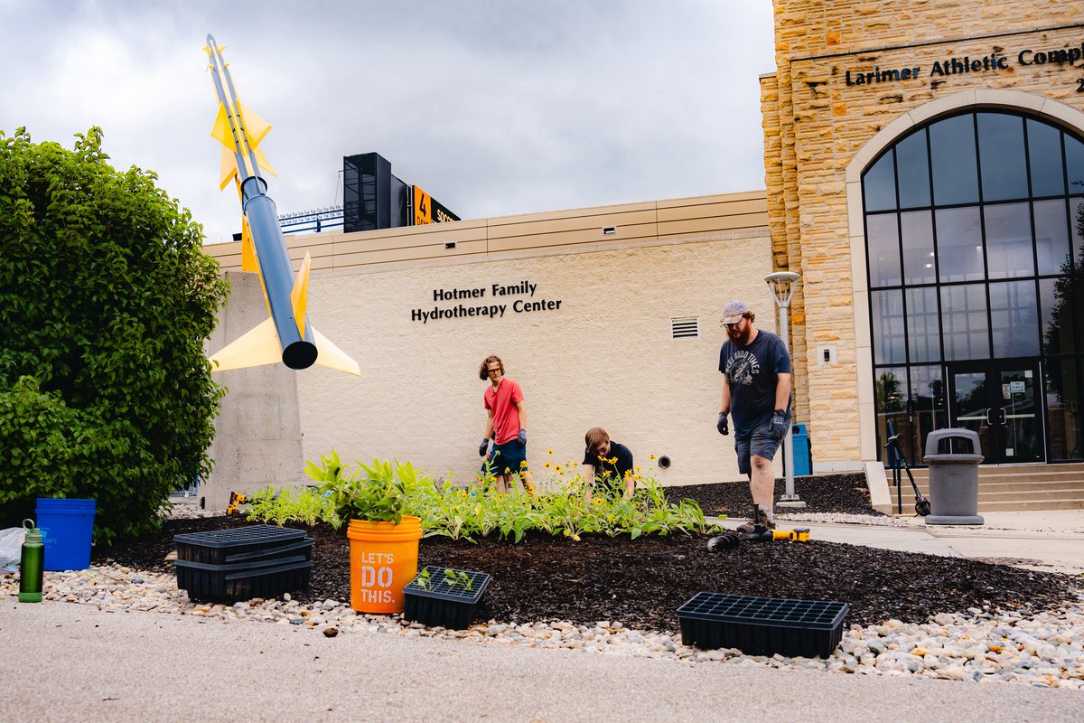 Connor J. Whelan tweet media