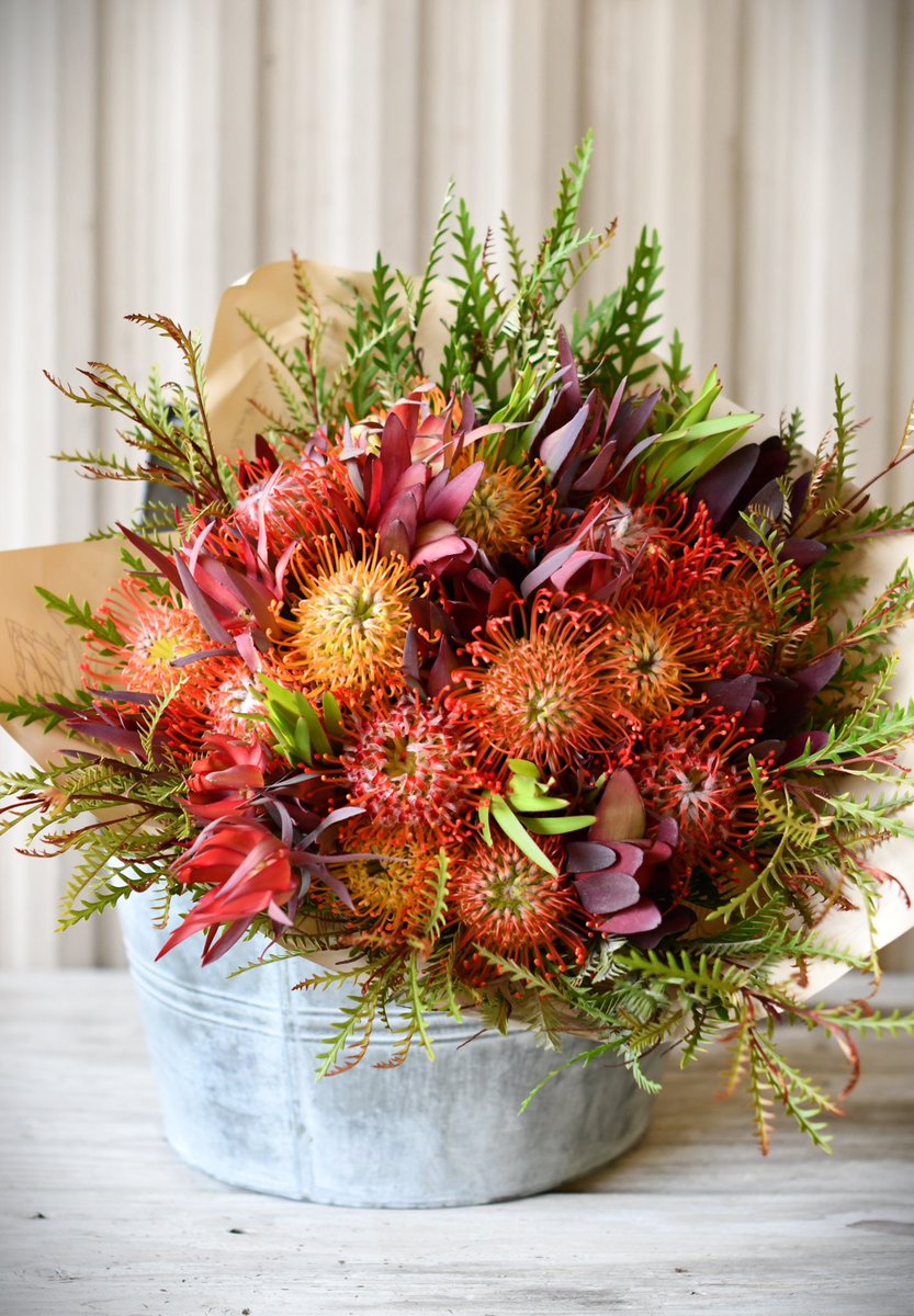 Happy Friday  🌞  Can you believe September is just  days away? Time really flies when you’re embracing every moment.

Wishing you a long weekend filled with relaxation, joy, and plenty of mood boosting vibes! 🍃🌸😊💥🌿
#fridayfeeling #labordayweekend #protea