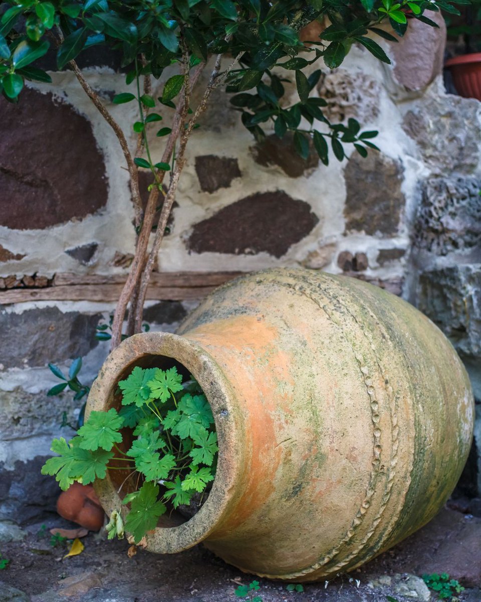 jettandcompany's tweet image. Fast homes age quickly. Thoughtful homes endure. 🌿 Slow design means deeper beauty, richer moments, and intentional luxury.
#SlowDesign #LuxuryInteriors