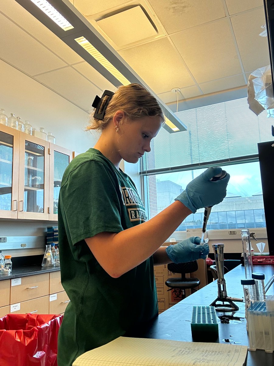 HorizonLeague's tweet image. Lauren Scott’s Life in the League is a testament to resilience, dedication, and the pursuit of excellence on and off the basketball court.

Read more: litl.horizonleague.org/laurenscott/

#OurHorizon🌇 #LifeintheLeague @WSURaiders @WSUWBasketball