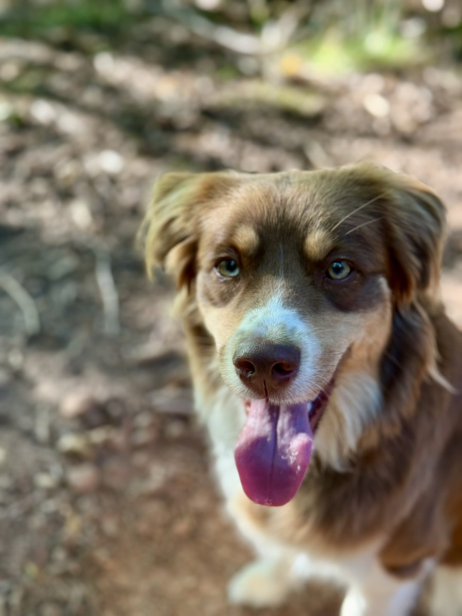 Sie ist einfach ne kleine Prinzessin