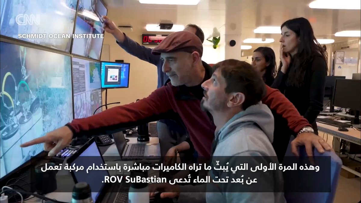 نجمة بحر في أعماق المحيط تشعل الإنترنت.. فما السبب؟ 