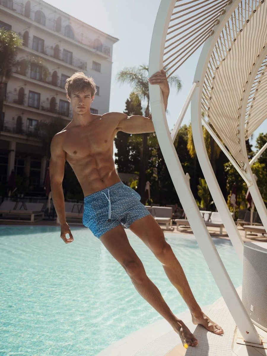 Bronze Age Pervert tweet media