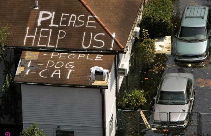 Craig Patrick FOX tweet media