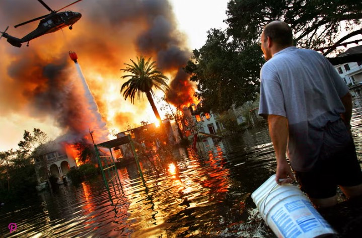 Craig Patrick FOX tweet media