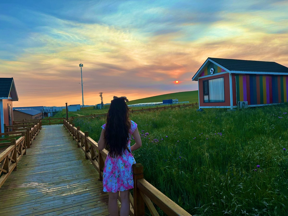 香菜不香 tweet media