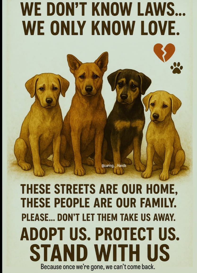 talkshock's tweet photo. Logic is simple: Hurt animals → they defend. Respect animals → they love. Scrap ABC &amp; India falls into chaos. Enforce it &amp; harmony wins.
@Dept_of_AHD  #SaveABCRules2023 #BoycottVijayGoel
#SaveIndianDogs https://t.co/ACnaL8cOHA